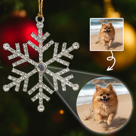 Cherish Every Moment With Your Beloved Pet