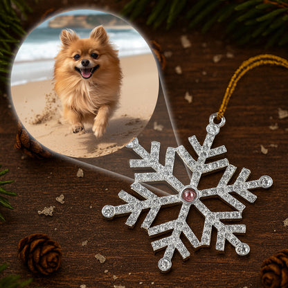 Cherish Every Moment With Your Beloved Pet