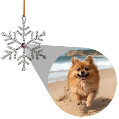 Cherish Every Moment With Your Beloved Pet