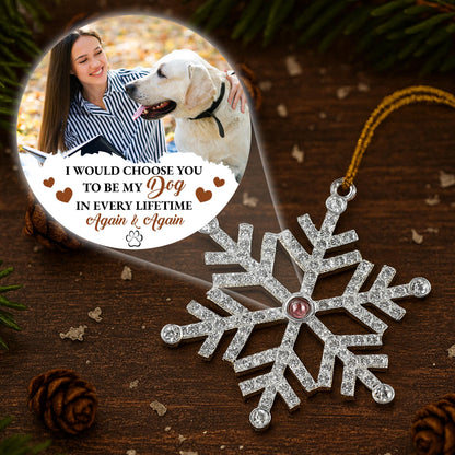 I Would Choose You To Be My Dog In Every Lifetime