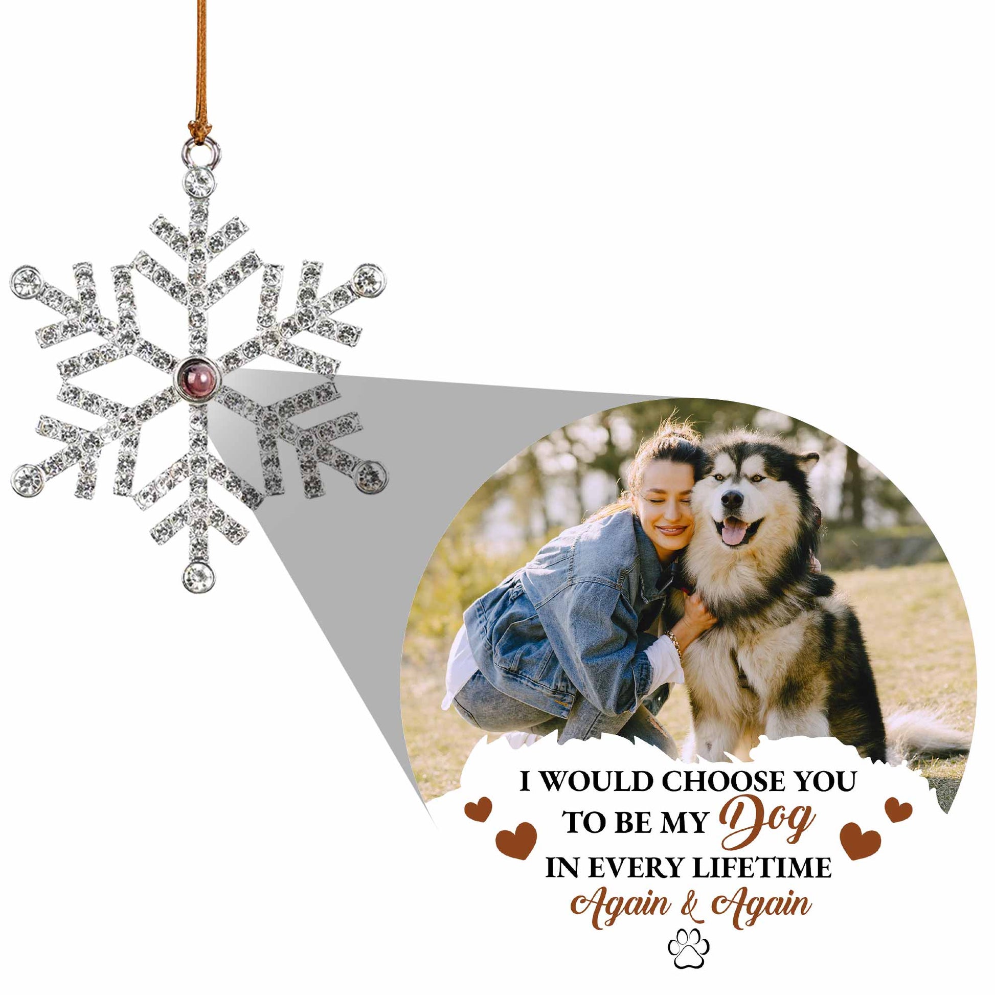 I Would Choose You To Be My Dog In Every Lifetime