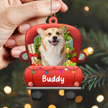 Celebrate The Holidays With Your Furry Friend