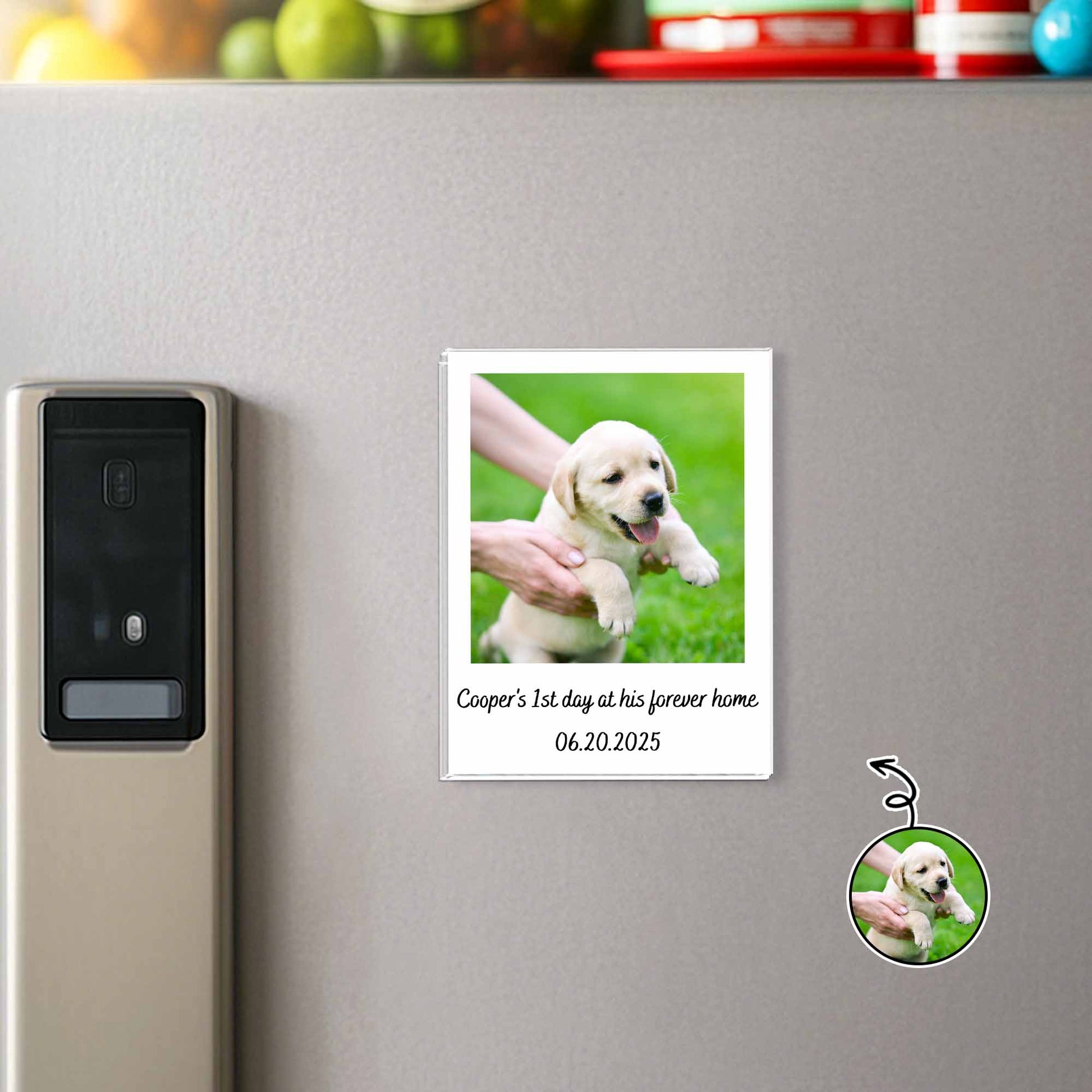 First Day At His Forever Home, Puppy Keepsake