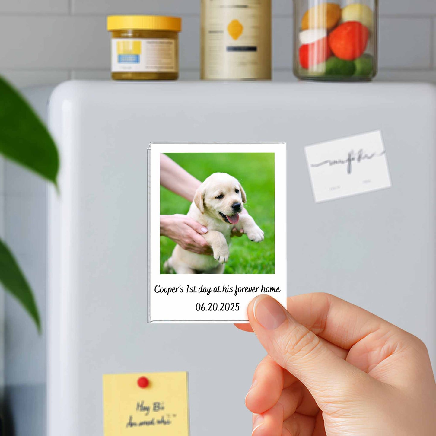 First Day At His Forever Home, Puppy Keepsake