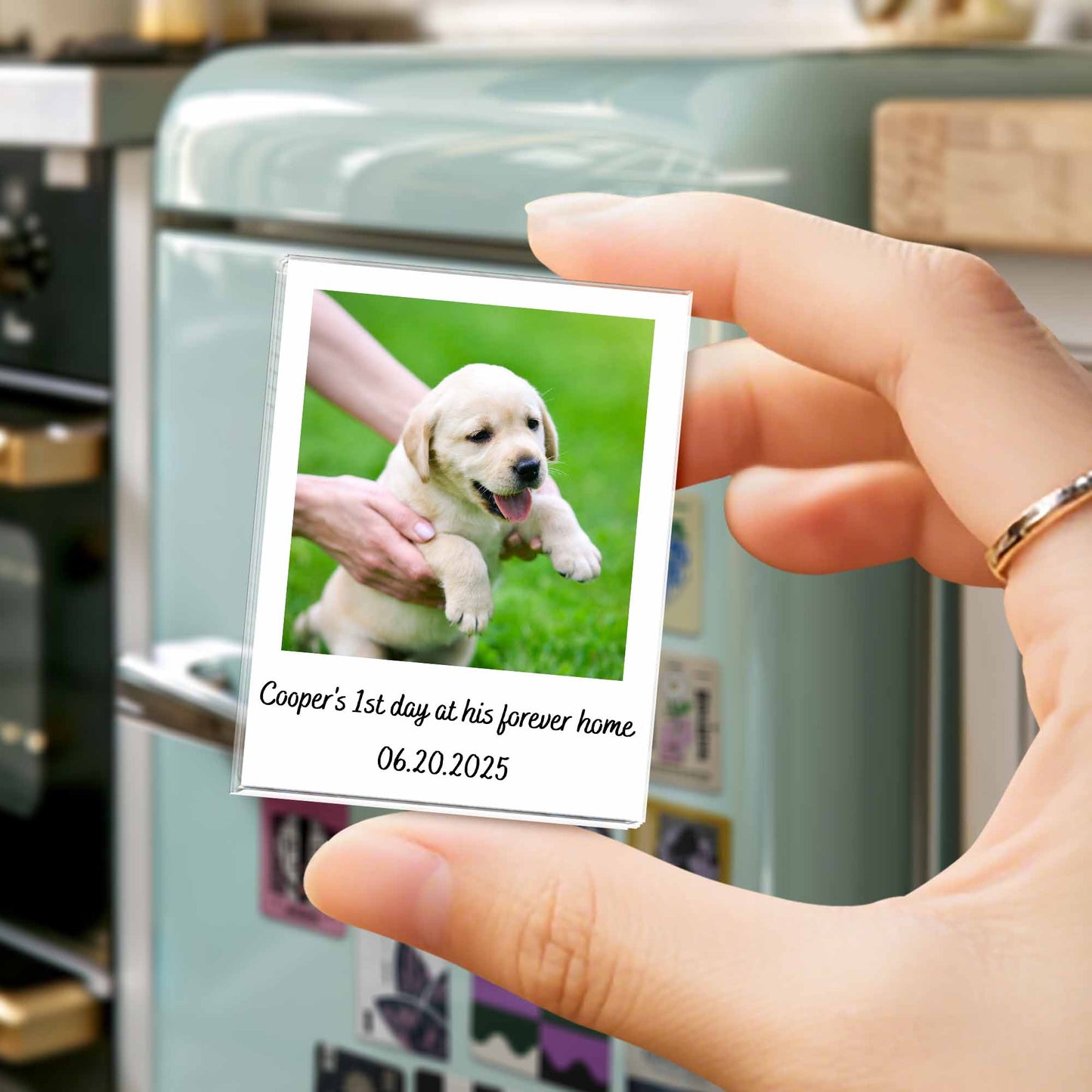 First Day At His Forever Home, Puppy Keepsake