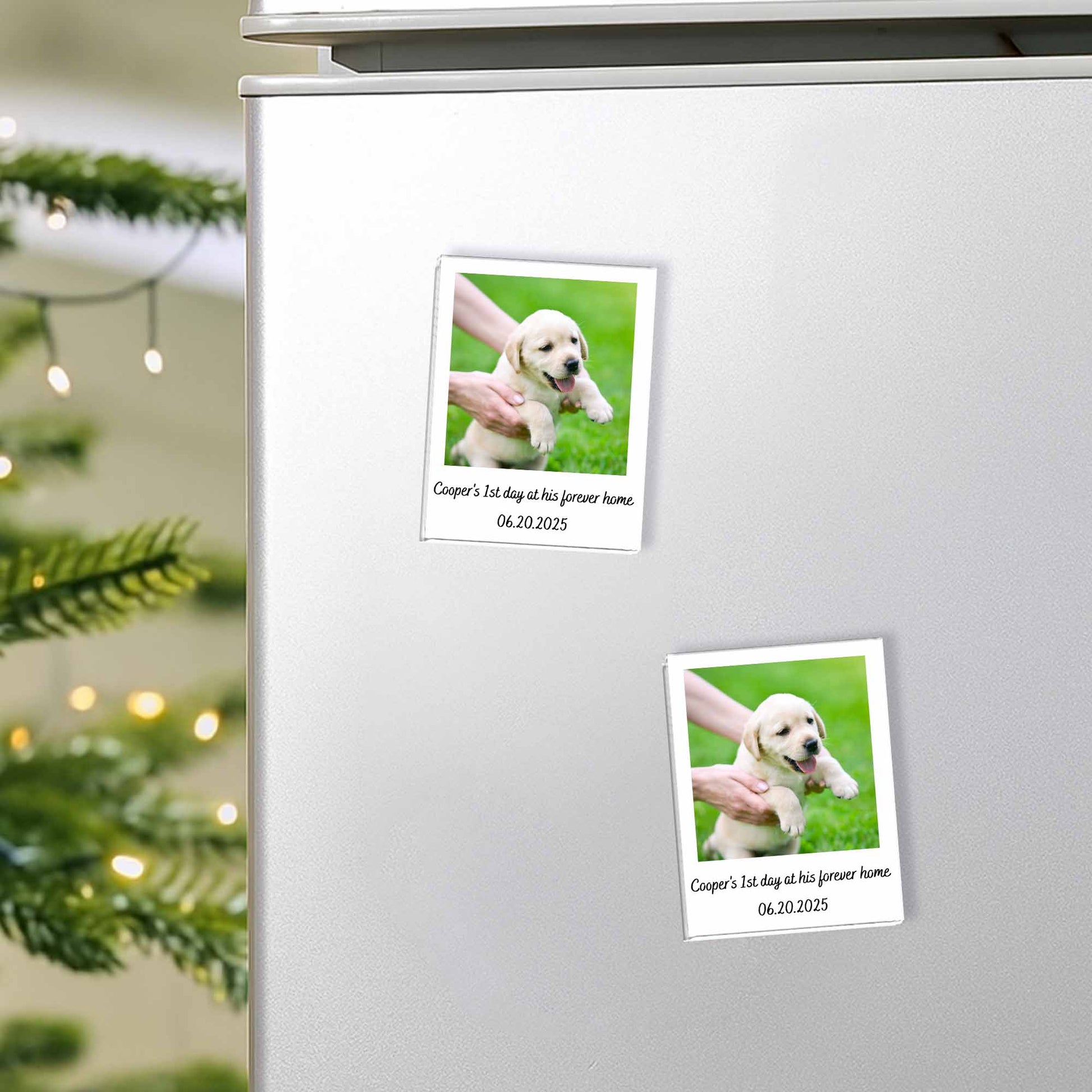 First Day At His Forever Home, Puppy Keepsake