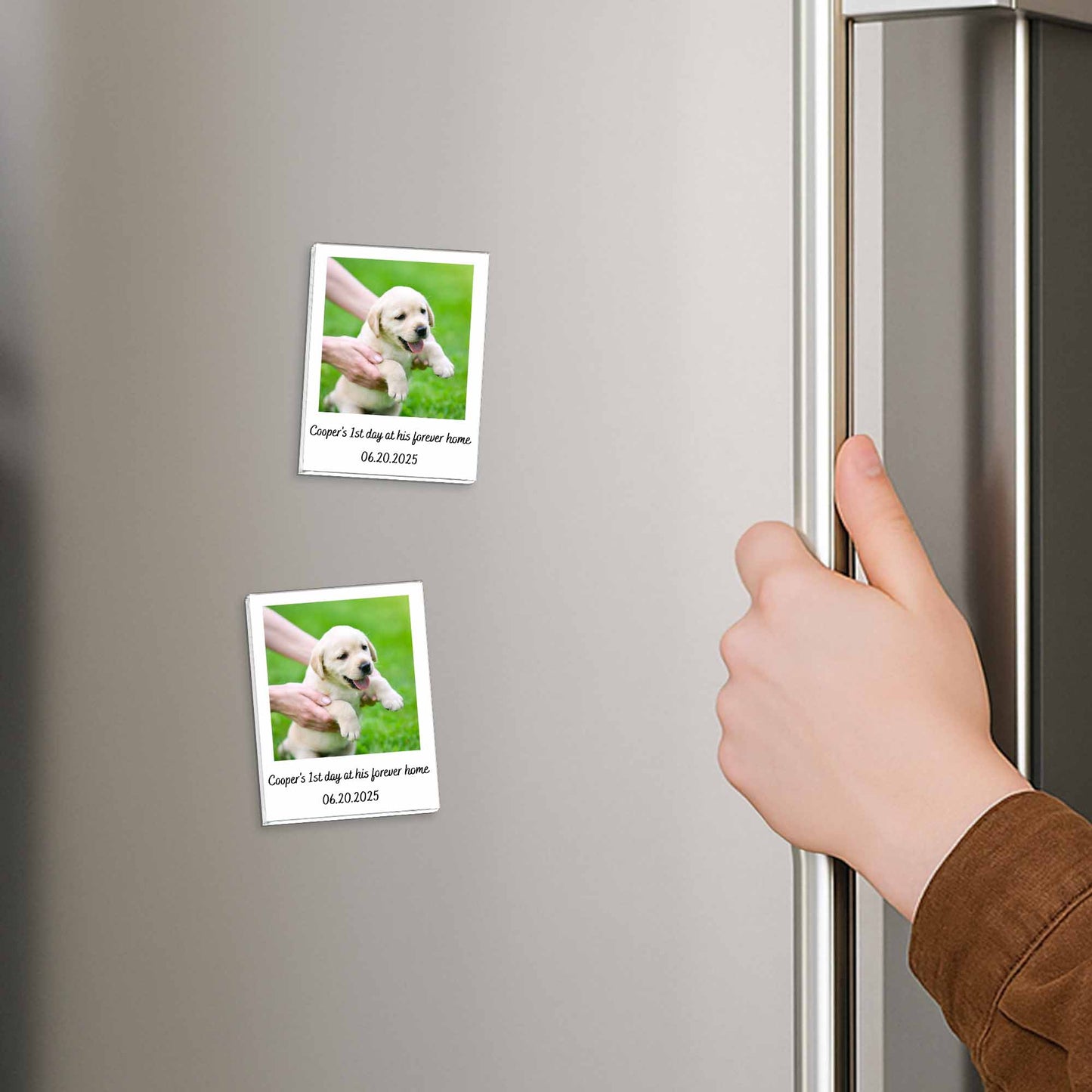 First Day At His Forever Home, Puppy Keepsake