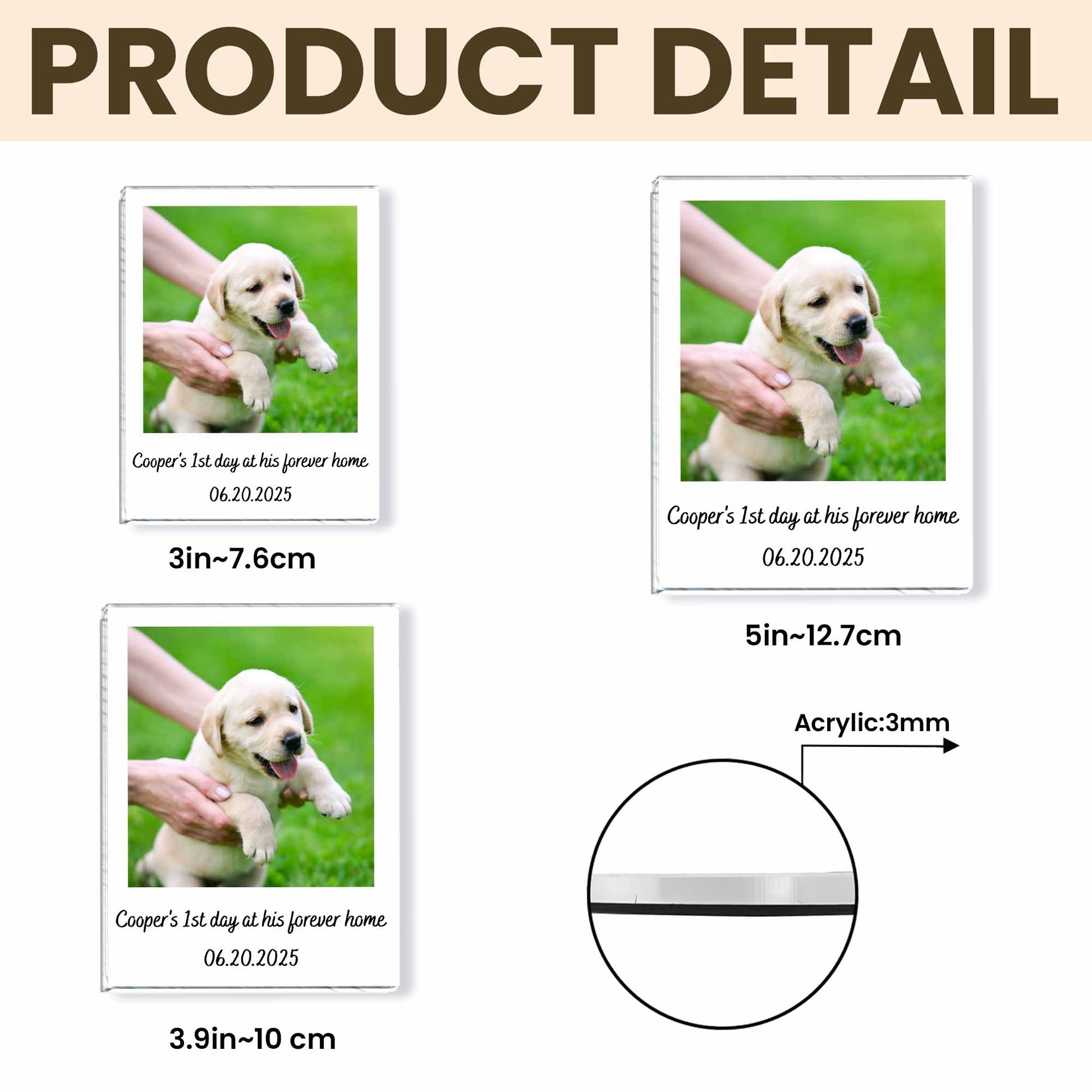 First Day At His Forever Home, Puppy Keepsake