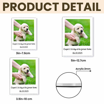 First Day At His Forever Home, Puppy Keepsake