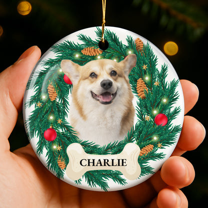 Celebrate With Our Dog Surrounded By Christmas Decor