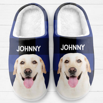 Customizable Pet Lover Slippers With Loyal Dog
