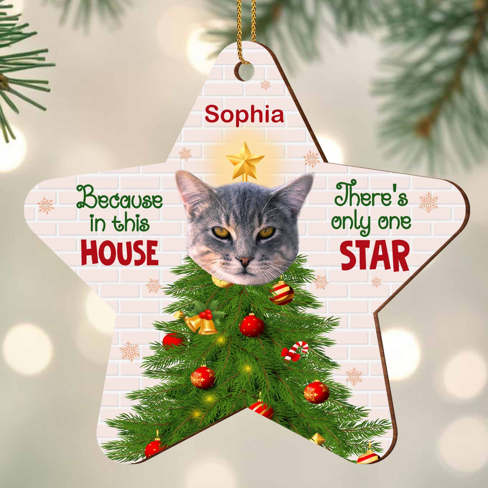 Because In This House, There's Only One Star, Cat And Christmas Tree
