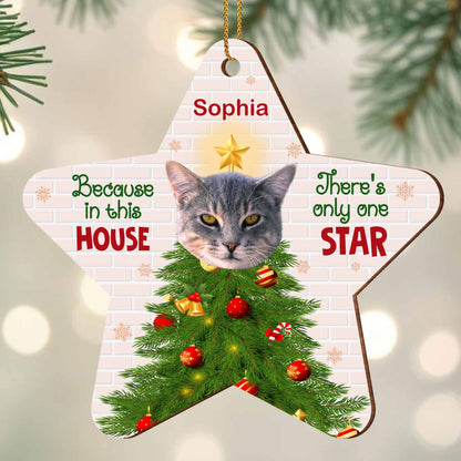Because In This House, There's Only One Star, Cat And Christmas Tree