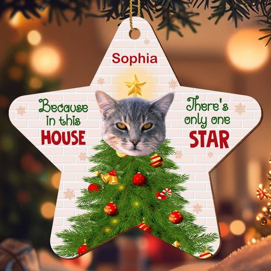 Because In This House, There's Only One Star, Cat And Christmas Tree