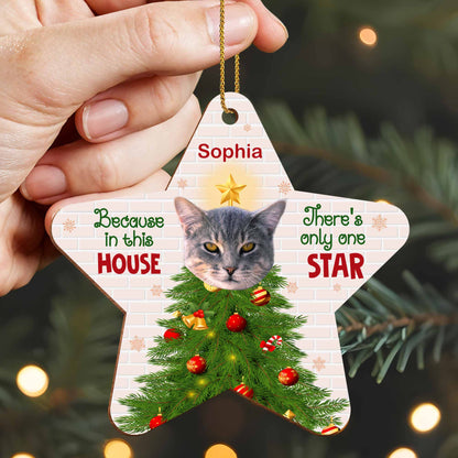 Because In This House, There's Only One Star, Cat And Christmas Tree