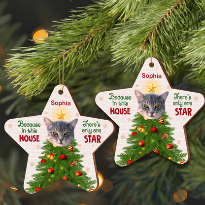 Because In This House, There's Only One Star, Cat And Christmas Tree