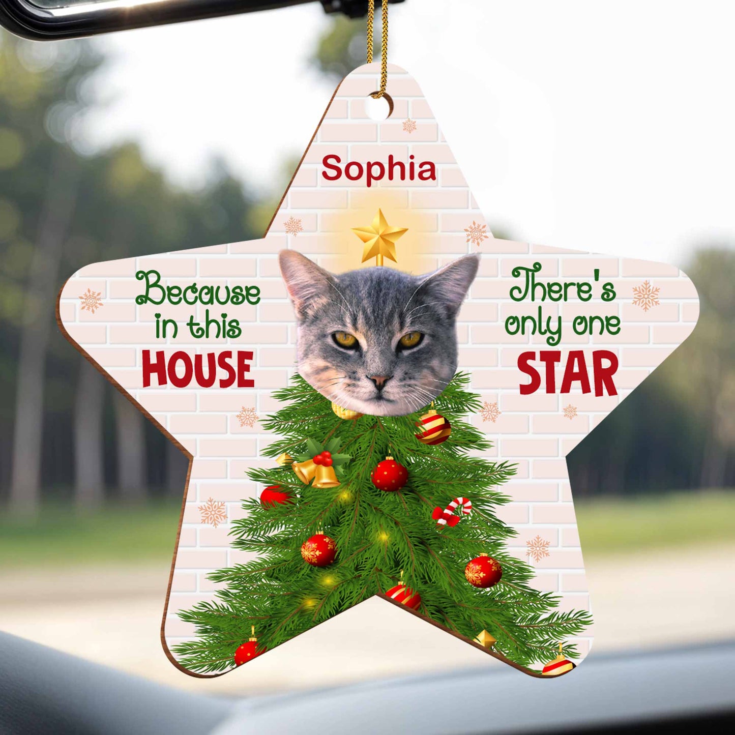 Because In This House, There's Only One Star, Cat And Christmas Tree