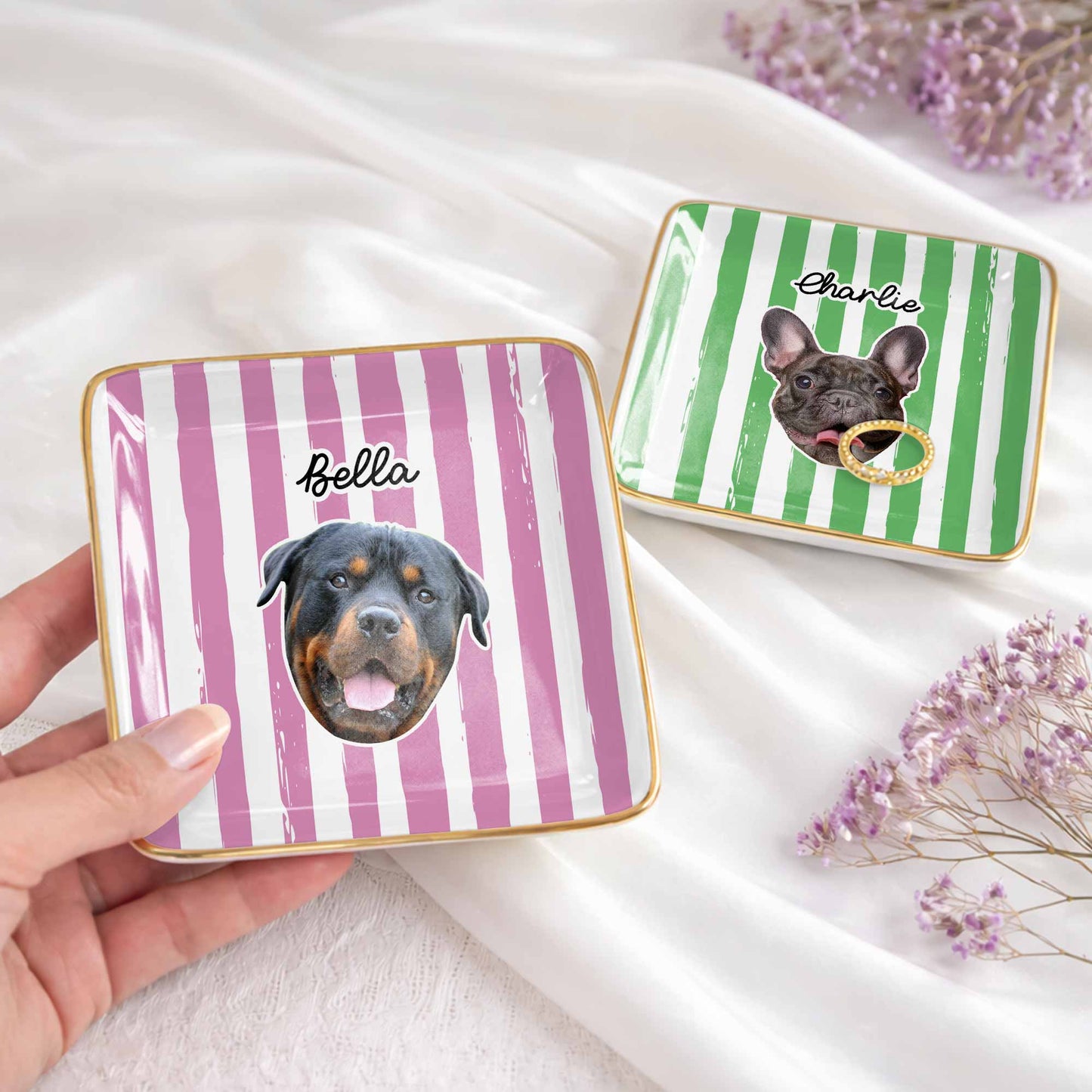 Capture The Joy Of Your Beloved Pet