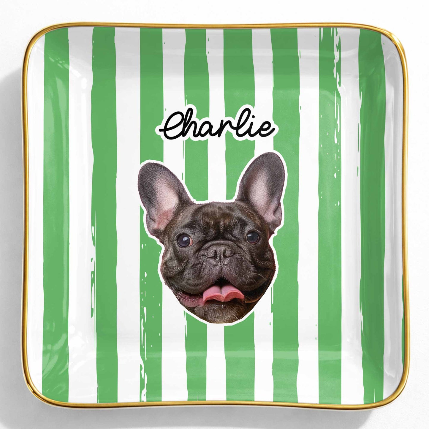 Capture The Joy Of Your Beloved Pet