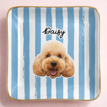 Capture The Joy Of Your Beloved Pet