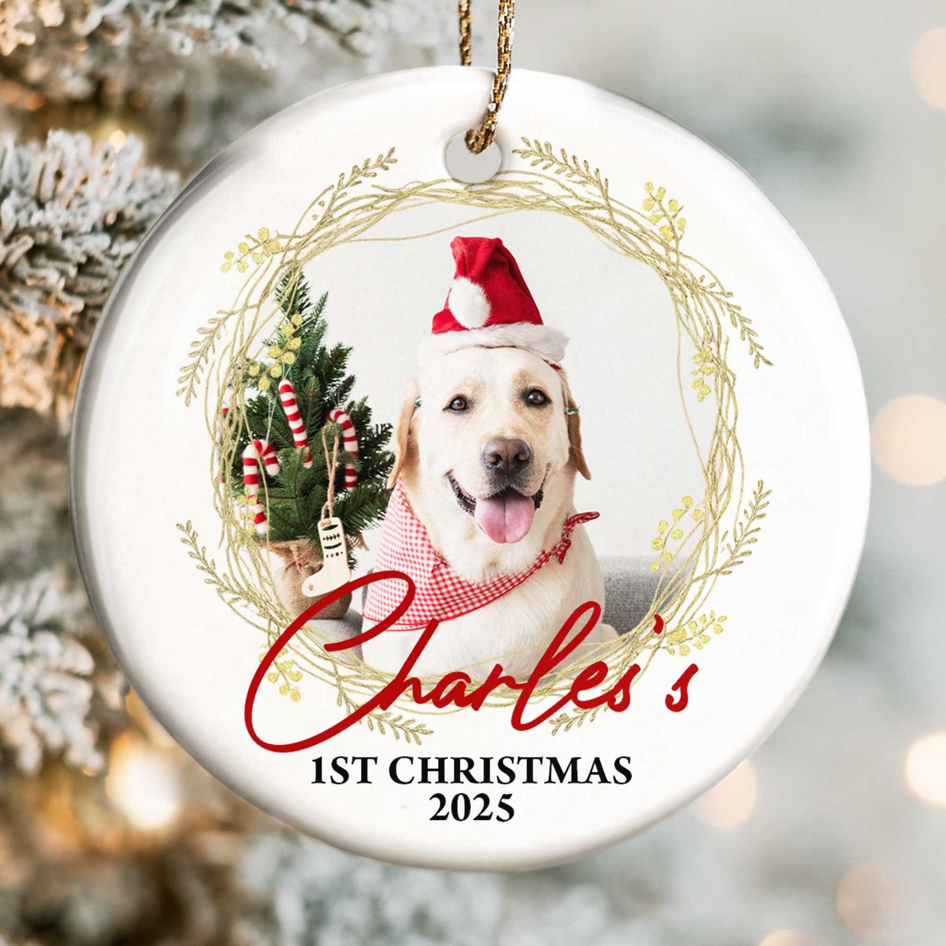 1st Christmas, Joyful Holiday Pet Moments
