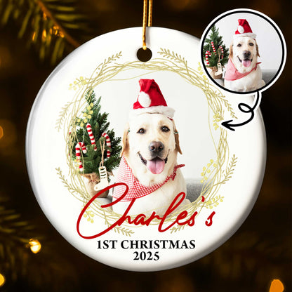 1st Christmas, Joyful Holiday Pet Moments