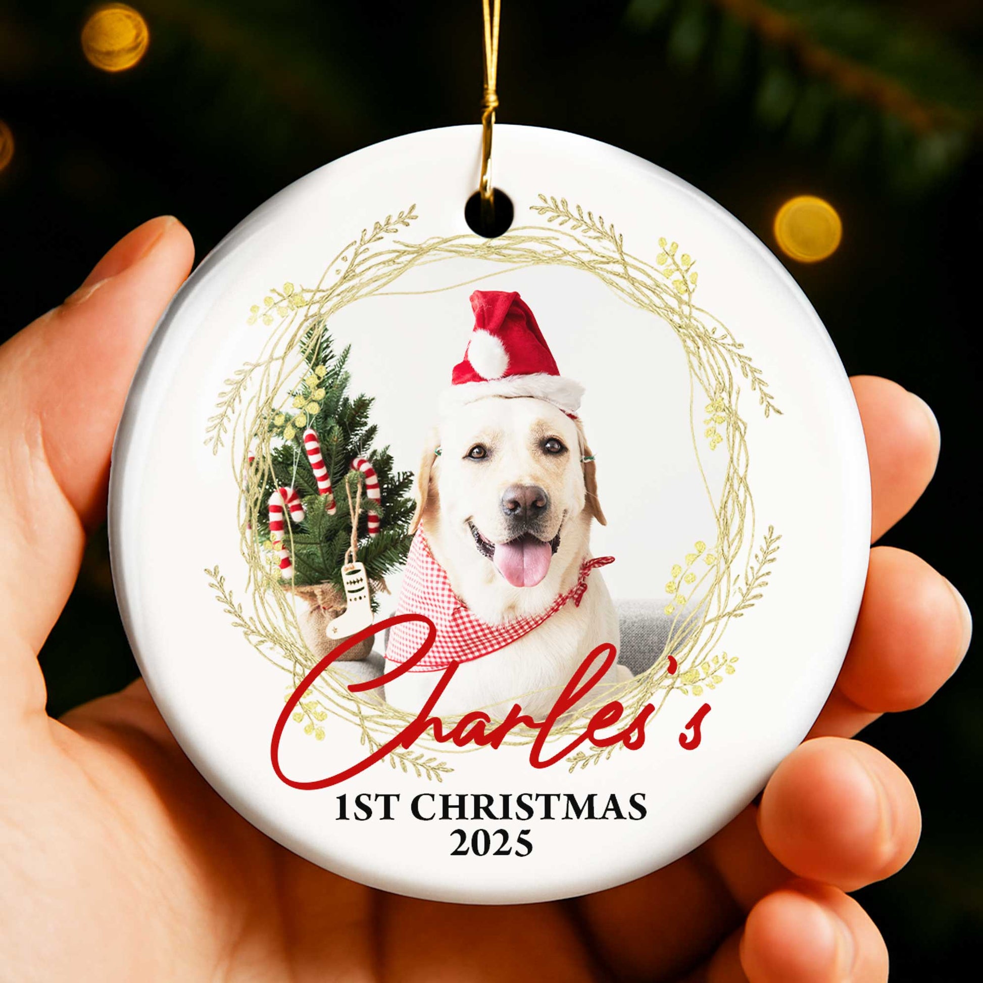 1st Christmas, Joyful Holiday Pet Moments