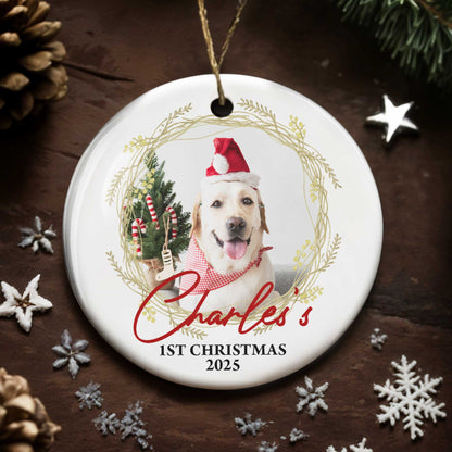 1st Christmas, Joyful Holiday Pet Moments