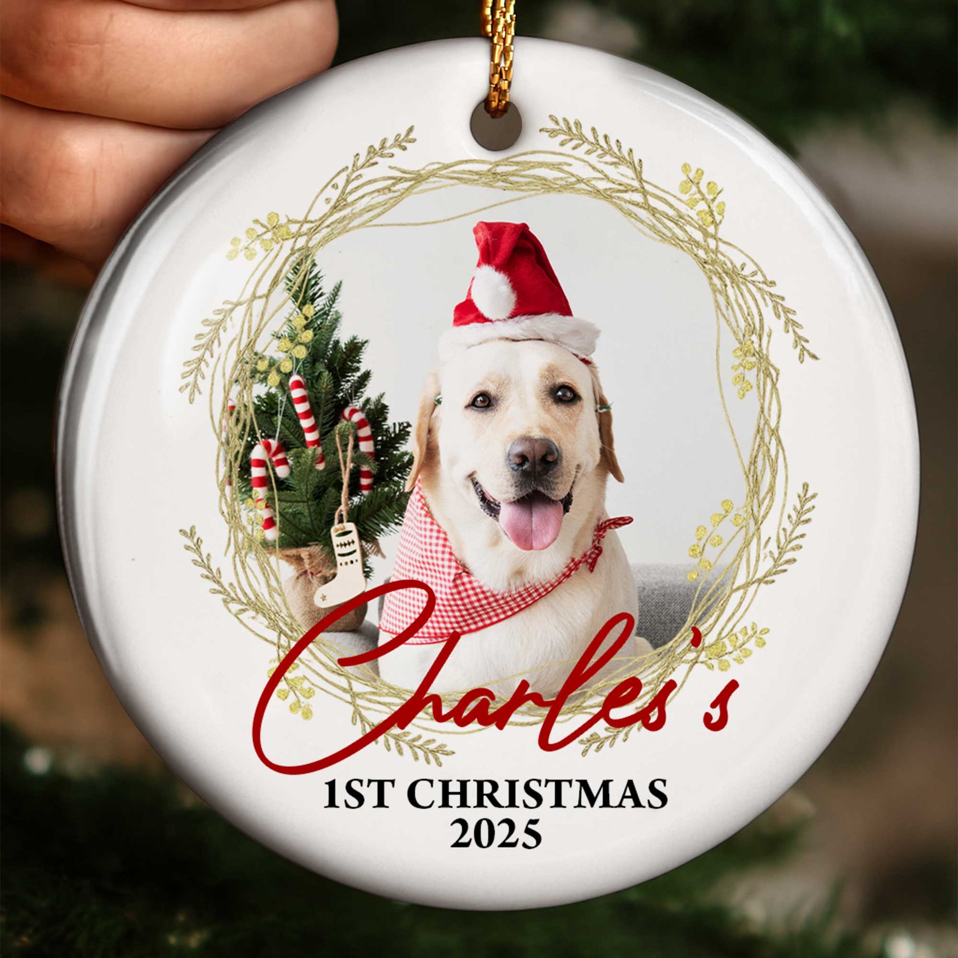 1st Christmas, Joyful Holiday Pet Moments