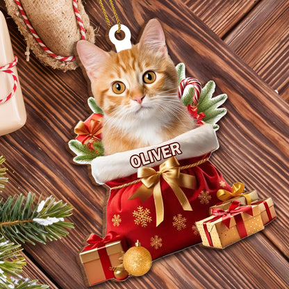 To My Beloved Pet, Merry Christmas