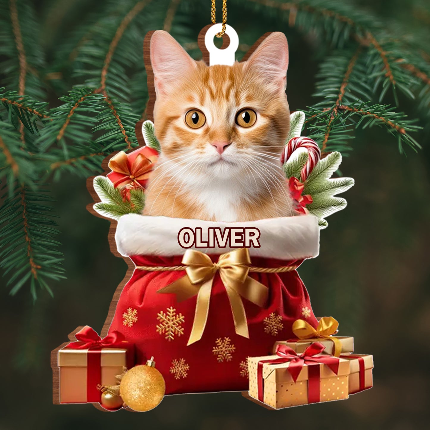 To My Beloved Pet, Merry Christmas