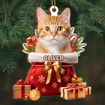 To My Beloved Pet, Merry Christmas