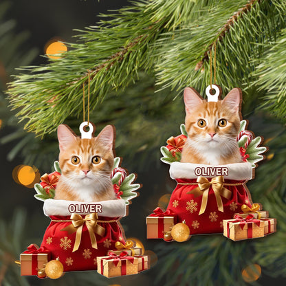 To My Beloved Pet, Merry Christmas