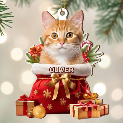 To My Beloved Pet, Merry Christmas