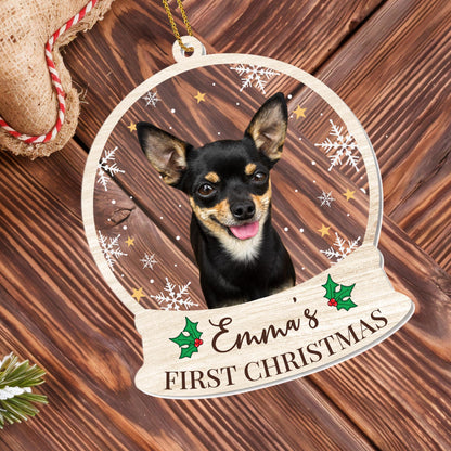 First Christmas Celebration With Your Furry Friend