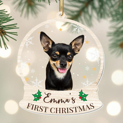 First Christmas Celebration With Your Furry Friend