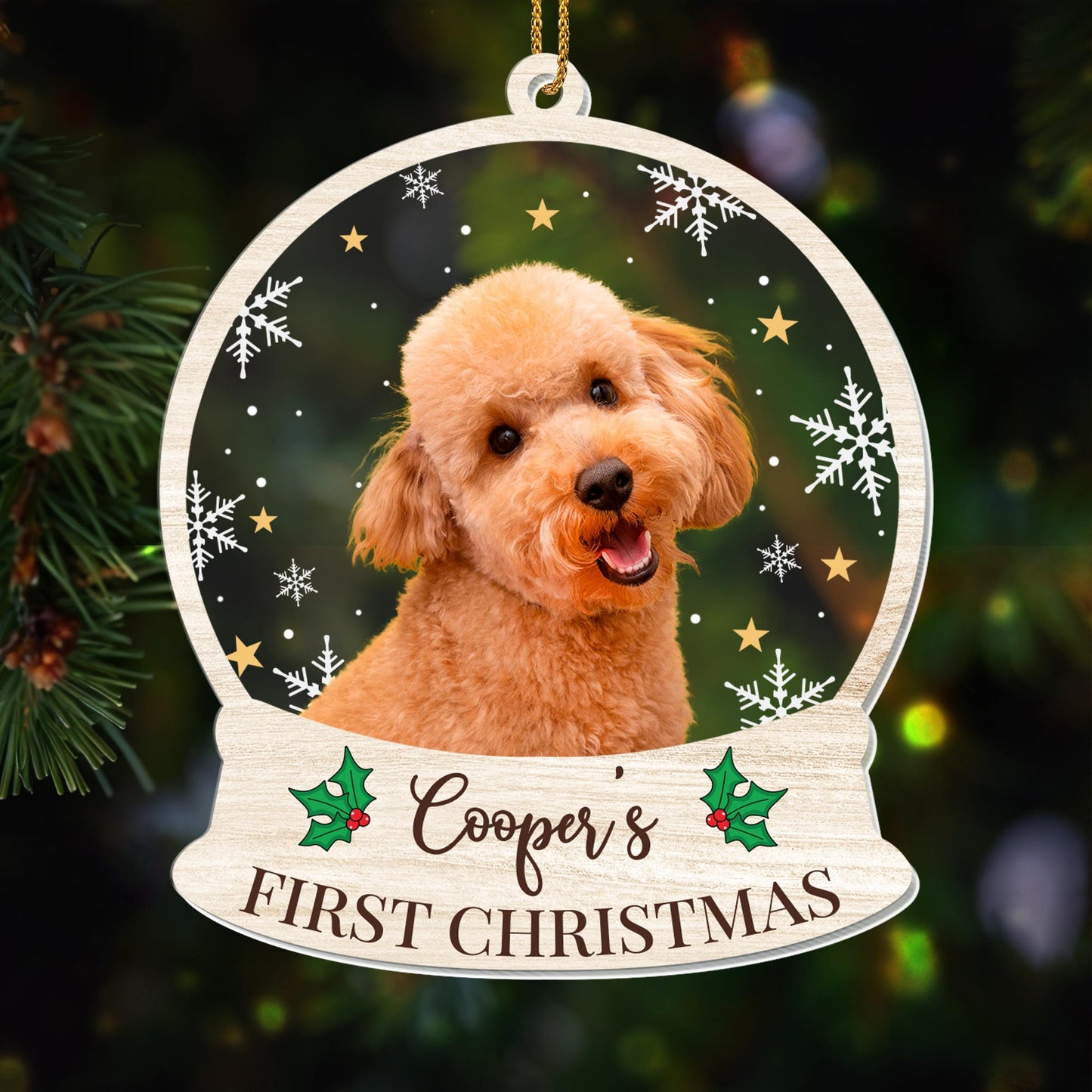 First Christmas Celebration With Your Furry Friend