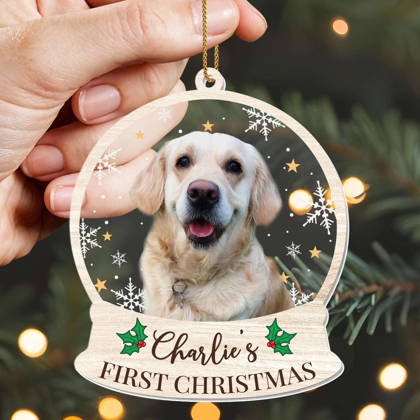 First Christmas Celebration With Your Furry Friend