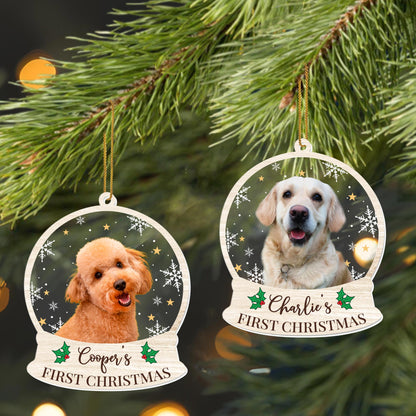 First Christmas Celebration With Your Furry Friend