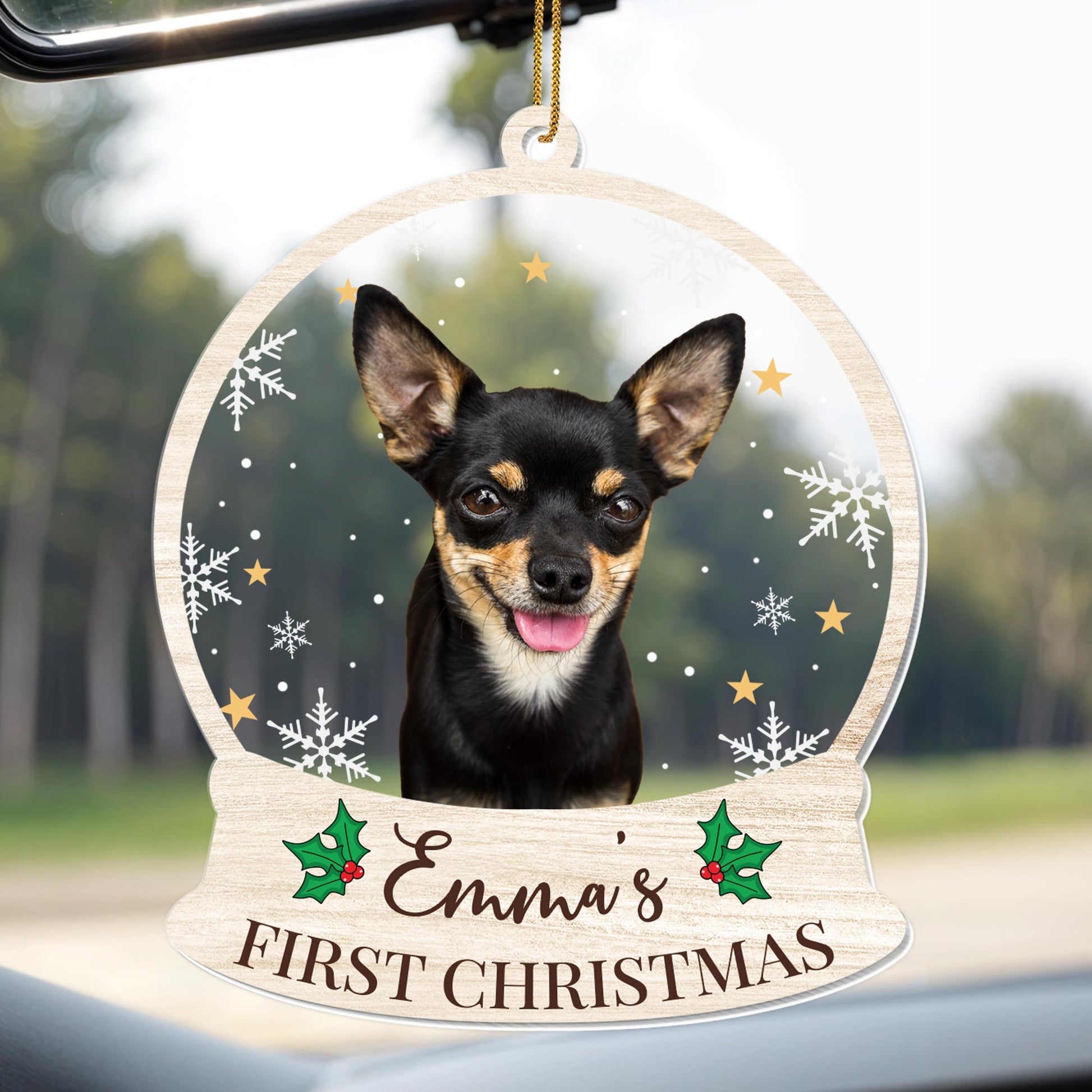 First Christmas Celebration With Your Furry Friend