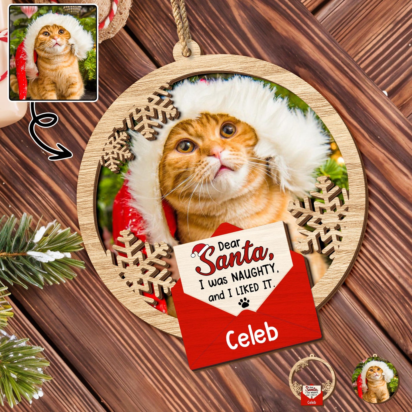 Dear Santa I Was Naughty And I Liked It, Cat With Santa Hat