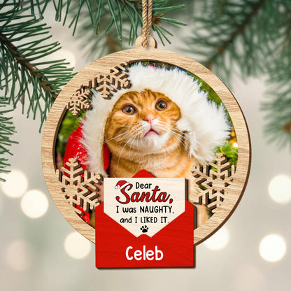 Dear Santa I Was Naughty And I Liked It, Cat With Santa Hat