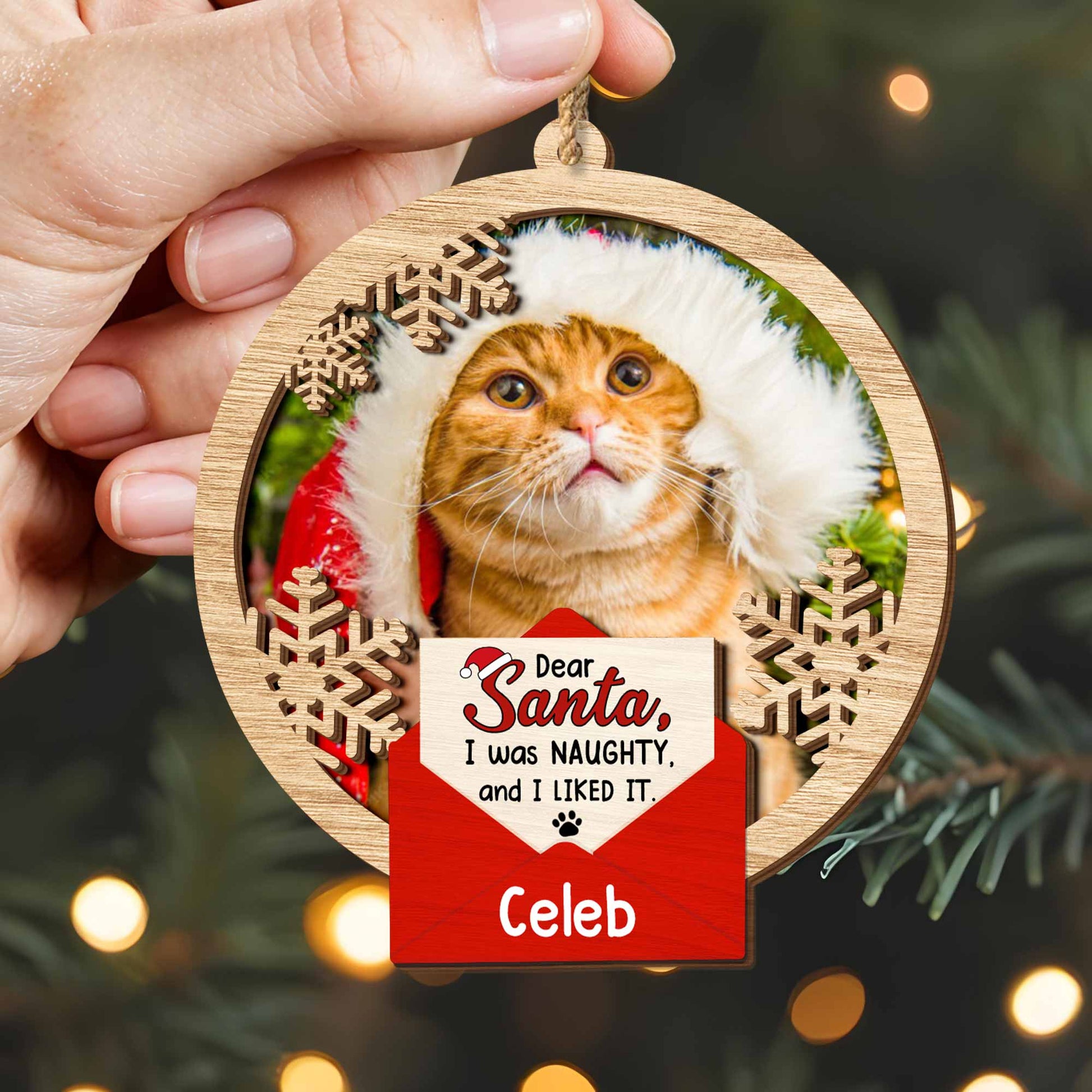 Dear Santa I Was Naughty And I Liked It, Cat With Santa Hat