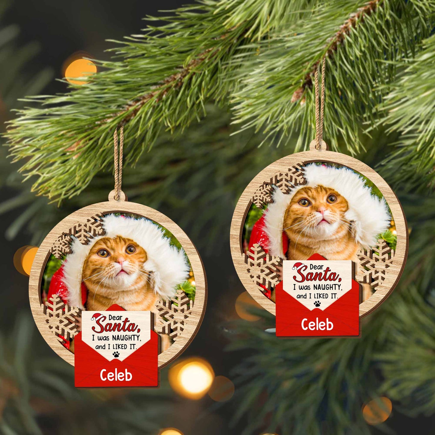 Dear Santa I Was Naughty And I Liked It, Cat With Santa Hat