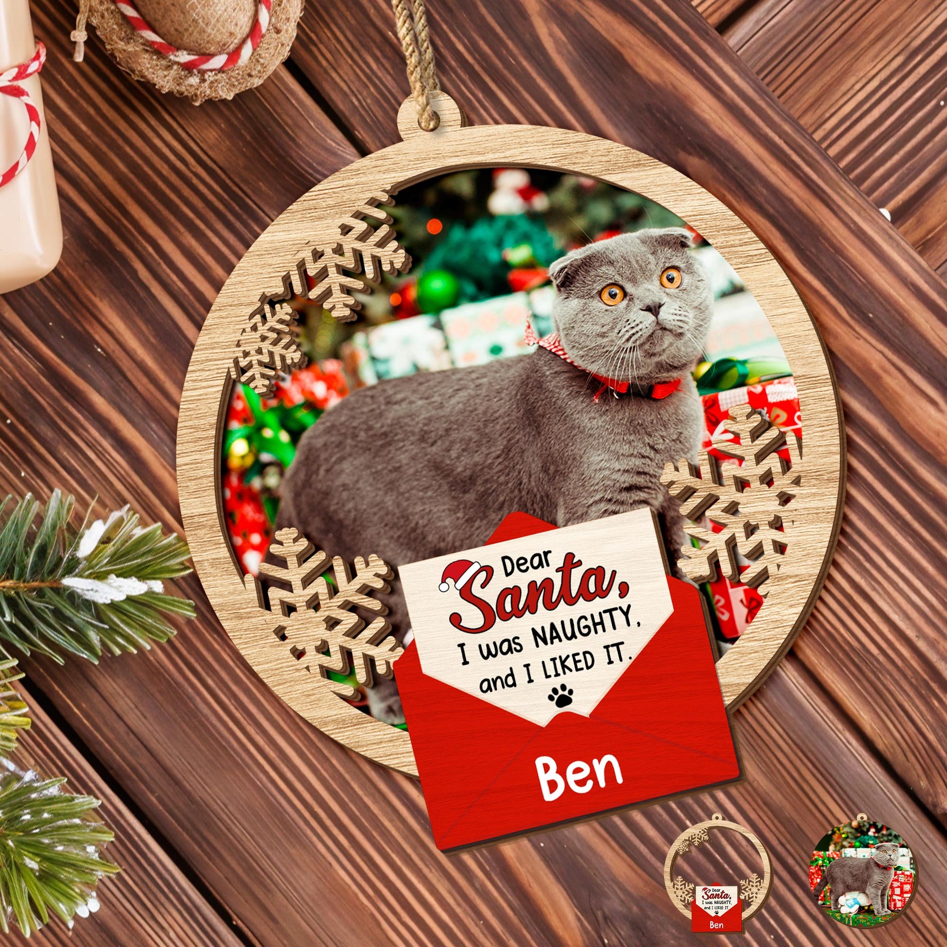 Dear Santa I Was Naughty And I Liked It, Cat With Santa Hat