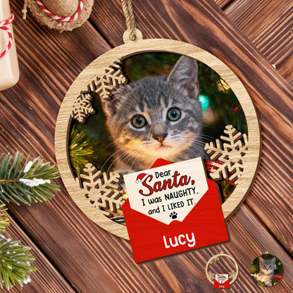 Dear Santa I Was Naughty And I Liked It, Cat With Santa Hat