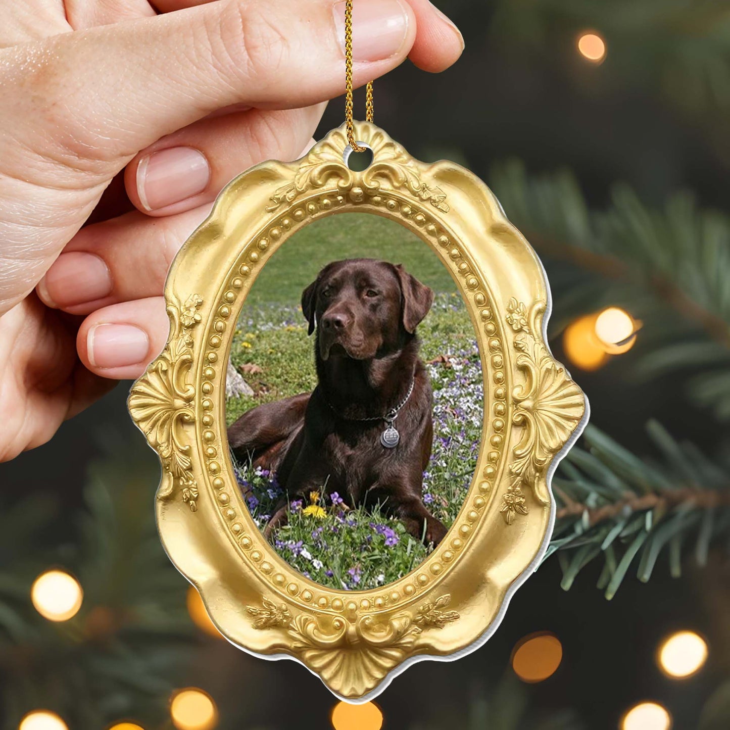 Cherished Moments With My Beloved Dog