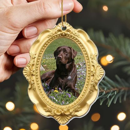 Cherished Moments With My Beloved Dog