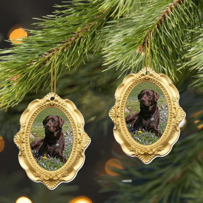 Cherished Moments With My Beloved Dog