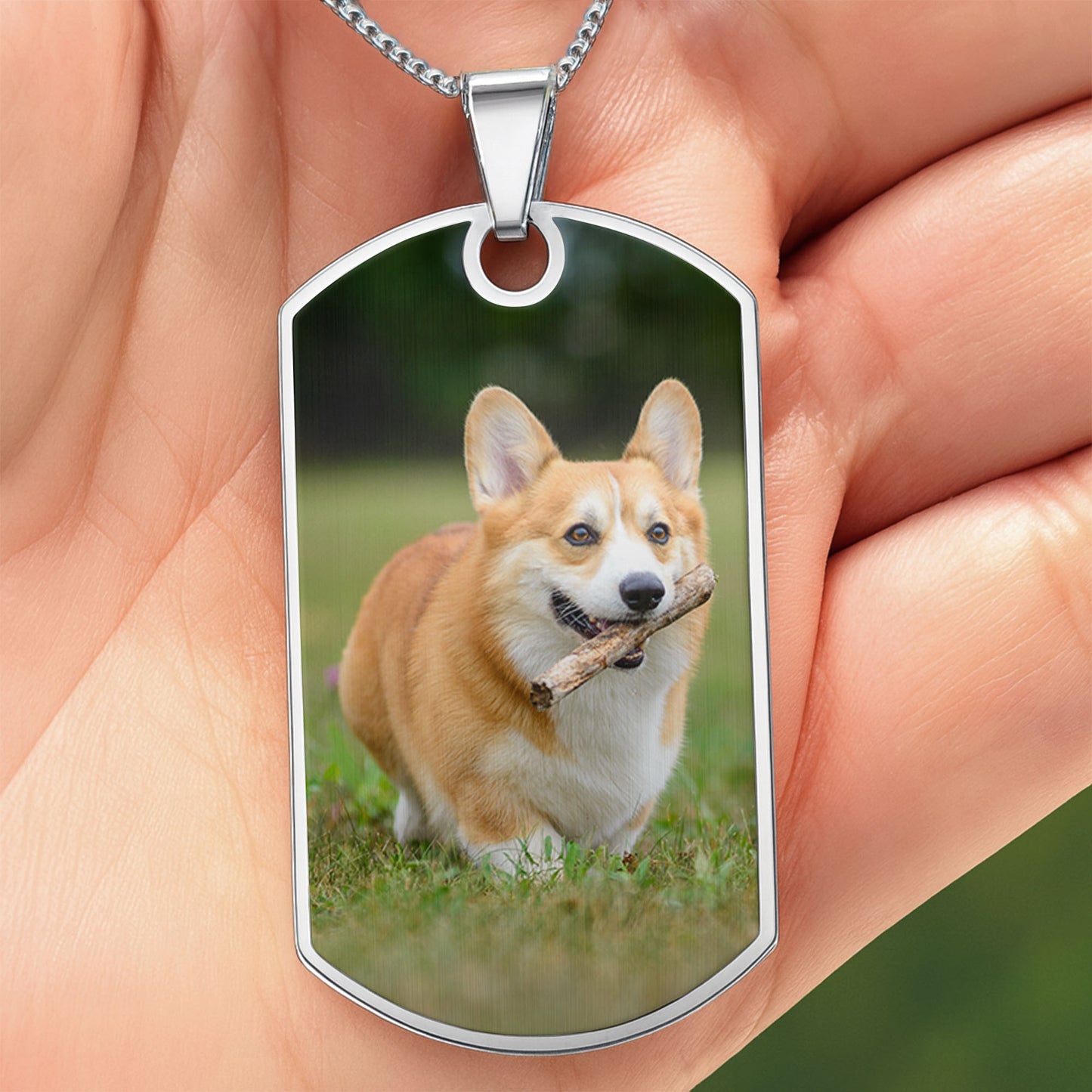 Don't Cry For Me Mom, I'm OK With New Wings